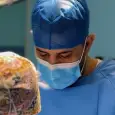 Dr Anas El Hayal